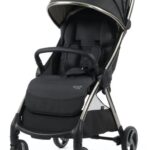 BabyStyle Egg Z Carbonite