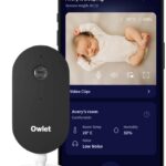 Owlet Dream Sight