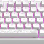 Dark Project ALU Terra Nostra White – US