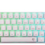 White Shark SHINOBI 2, kék SW, fehér – US